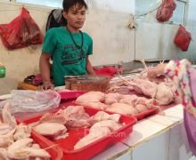 Kebijakan PPKM Bikin Pedagang Ayam di Pasar Tradisional Menjerit - JPNN.com