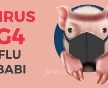 Simak Hasil Penelitian Terkini Soal Virus Flu Babi Baru Berpotensi Pandemi - JPNN.com