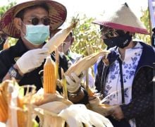 Mentan SYL Tingkatkan Produksi Pertanian di Sulawesi Utara - JPNN.com