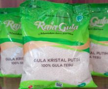 Perkuat Ekspansi, RNI Luncurkan Produk Raja Gula Kemasan Baru - JPNN.com