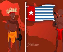 Pemerintah Diminta Waspadai LSM Asing di Papua, Pengamat Mencurigai Ini - JPNN.com