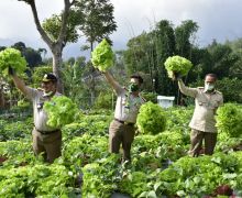 Hari Pangan Sedunia 2020, Petani Muda dan Kementan Serukan Gerakan Berkebun - JPNN.com