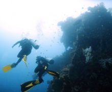 Pengin Scuba Diving? Diver Pemula Harus Penuhi Syarat Ini - JPNN.com