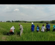 Program PSRLB Pertamina EP untuk Masyarakat Desa Berbuah Manis - JPNN.com