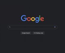 Google Merilis Fitur Pencarian Bebasis Gambar Baru Untuk Ponsel Android dan iOS - JPNN.com