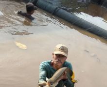 Polisi Selidiki Dugaan Pungli Pengadaan Ikan Arwana di Kapuas Hulu - JPNN.com