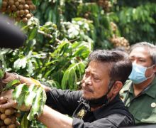 Mentan Syahrul Yasin Limpo Dorong Pengembangan Agrowisata Buah - JPNN.com