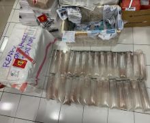 Bea Cukai Juanda Menggagalkan Penyelundupan 29.250 Benih Bening Lobster ke Kawasan Bebas Batam - JPNN.com