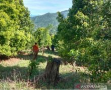 Hari Kelima, Basarnas Libatkan 60 Orang Cari Lansia yang Hilang di Hutan Kolaka - JPNN.com