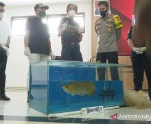 Polres Bogor Bongkar Kasus Pencurian Ikan Arwana Milik Sahabat Irfan Hakim  - JPNN.com