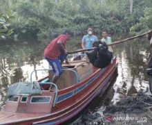 Lihat, Petugas dan Warga Dapat Beruang Madu - JPNN.com