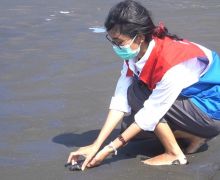 Pertamina Kembali Melepasliarkan 206 Penyu Lekang di Pantai Sodong Cilacap - JPNN.com