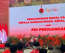 Berterima Kasih kepada Hakim MK, Megawati: Masih Punya Nurani - JPNN.com