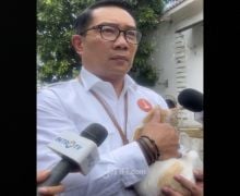 Ridwan Kamil Menggendong Kucing Warna Oranye, Katanya seperti Jakarta - JPNN.com