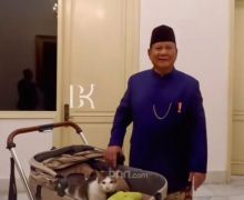 Presiden Prabowo Bawa Bobby Tinggal di Istana Negara, Lihat Tuh - JPNN.com