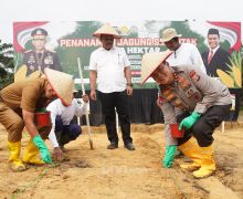 Polda Riau Tanam Jagung di Kampar, Irjen Iqbal: Polri Berkomitmen Dukung Ketahanan Pangan Nasional - JPNN.com