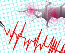 BMKG Imbau Warga Jawa Tengah Tetap Tenang Seusai Diguncang Gempa 2 Kali - JPNN.com