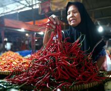 Cabai Rawit Masih Rp 89.400 Per Kilogram, Harga Bawang Putih Makin Tinggi - JPNN.com