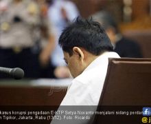 Besok Pengadilan Tentukan Nasib Papa Novanto - JPNN.com