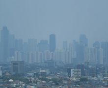Cemari Lingkungan, Pembakaran Arang di Jaktim Ditutup Pemprov - JPNN.com