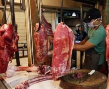 Bulog Pastikan Daging Kerbau India Bebas Penyakit Kuku dan Mulut - JPNN.com