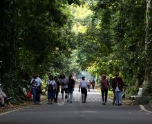 Libur Lebaran, 10 Ribu Pengunjung Padati Kebun Raya Bogor - JPNN.com