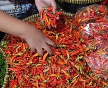 Alhamdulillah, Harga Cabai Merah Berangsur Turun di Pasar Tradisional - JPNN.com