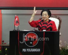 Megawati Ultah ke-78, Kader PDIP Kasih Kado Berupa Gerakan Menaman Pohon - JPNN.com