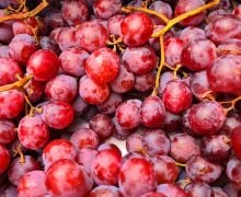 4 Manfaat Biji Anggur, Aman Dikonsumsi Penderita Penyakit Ini - JPNN.com