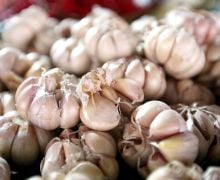 4 Manfaat Makan Bawang Putih Mentah, Baik untuk Penderita Penyakit Kronis Ini - JPNN.com