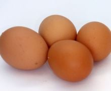 10 Khasiat Rutin Makan Telur Rebus, Bikin Hubungan Ranjang Makin Panas - JPNN.com