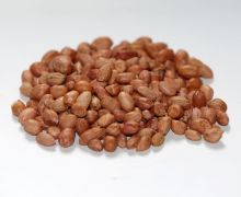 5 Khasiat Kacang Tanah, Turunkan Risiko Serangan Penyakit Ini pada Wanita - JPNN.com