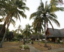 Prospek Menjanjikan Homestay di Pulau Kecil Indonesia - JPNN.com