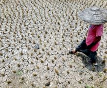 Antisipasi Kekeringan Akibat El Nino, BNPB dan BRGM Bekerja Sama Membuat Sumur Bor - JPNN.com