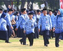 Usulan Formasi CPNS dan PPPK Banda Aceh Disetujui MenPAN-RB - JPNN.com