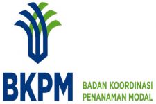 Dongkrak Investasi, BKPM Gaet Asuransi Tiongkok - JPNN.com