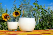 Rekomendasi Susu yang Bisa Dikonsumsi Penderita Kolesterol Tinggi - JPNN.com