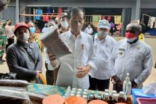 Jokowi Beli Sarang Semut, Josina Ndiken Menangis - JPNN.com