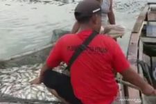 Jutaan Ekor Ikan di Waduk Mati Mendadak - JPNN.com