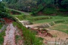 Puluhan Hektare Sawah di Cianjur Terendam Banjir - JPNN.com