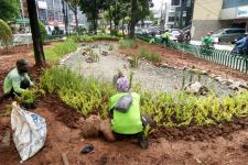 Kurangi Genangan Air di Jalan, Sudin Jakpus Bangun Green Infrastructure - JPNN.com