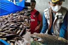 Sungai Terendam Lumpur, Tiga Ton Ikan Larangan Mati - JPNN.com