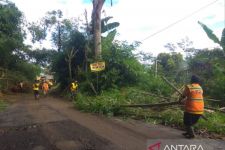 Hati-Hati, Jalur Puncak Rawan Terjadi Longsor dan Pohon Tumbang - JPNN.com