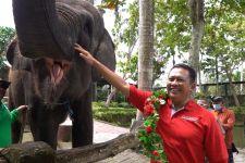 Bamsoet Kagumi Tempat Wisata Naik Gajah dan Arung Jeram di Bali - JPNN.com