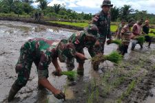 Lihat, Begini Cara Prajurit TNI Mendukung Ketahanan Pangan di Papua - JPNN.com