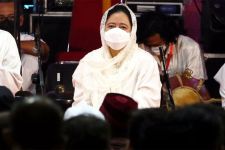 Puan Maharani Desak Pemerintah Jawab Tudingan AS soal PeduliLindungi Langgar HAM - JPNN.com Sumut