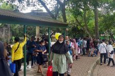 Lucu, Lokasi Terfavorit di Taman Margasatwa Ragunan - JPNN.com