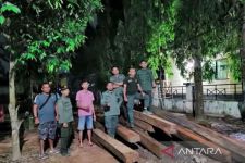 Sisir Lokasi Rawan Pembalakan Liar, KPH Tabalong Temukan 34 Batang Kayu Tak Bertuan - JPNN.com