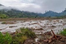 Banjir di Mamasa Merusak Puluhan Hektare Lahan Pertanian dan Hewan Ternak Hanyut - JPNN.com