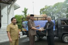 Lihat Tuh Sapi Kurban Presiden Jokowi untuk Aceh Tengah, Besar Banget - JPNN.com Sumut